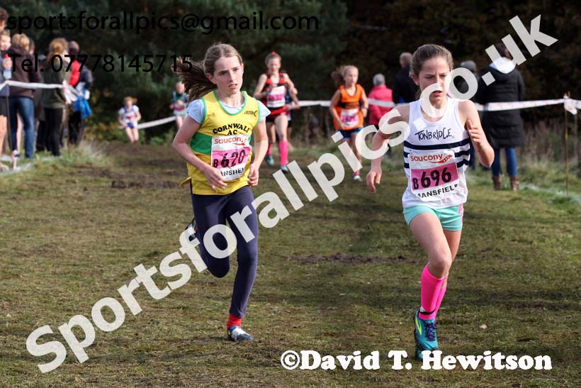 Girls under-13s National Cross Country Relay, Berry Hill Park, Mansfield. Photo:  David T. Hewitson/Sports for All Pics